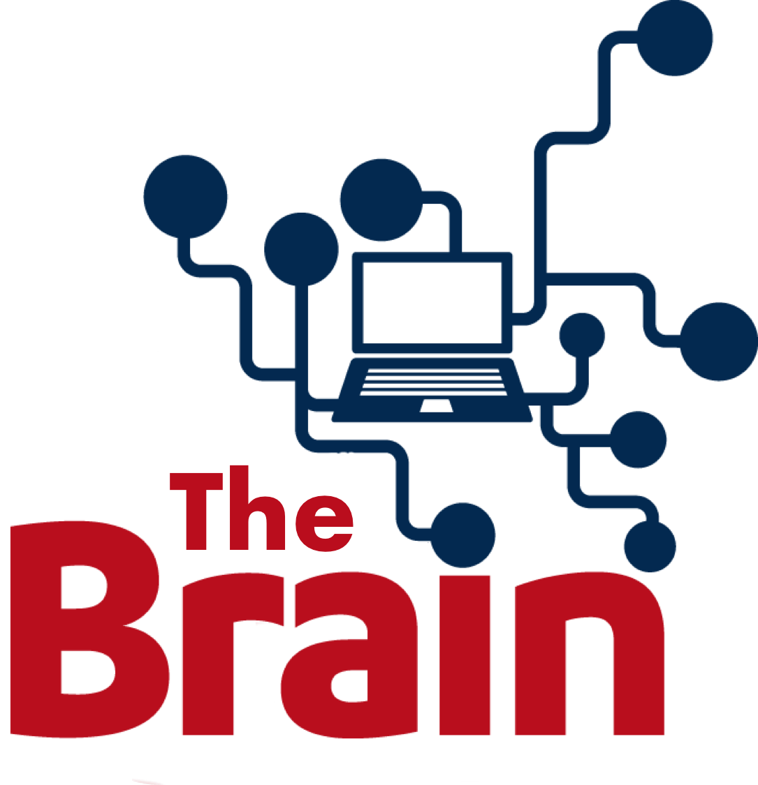 The Brain Virtual Learning Environment
